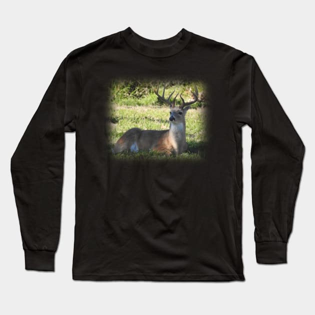 White-tailed Deer Long Sleeve T-Shirt by Paul Prints